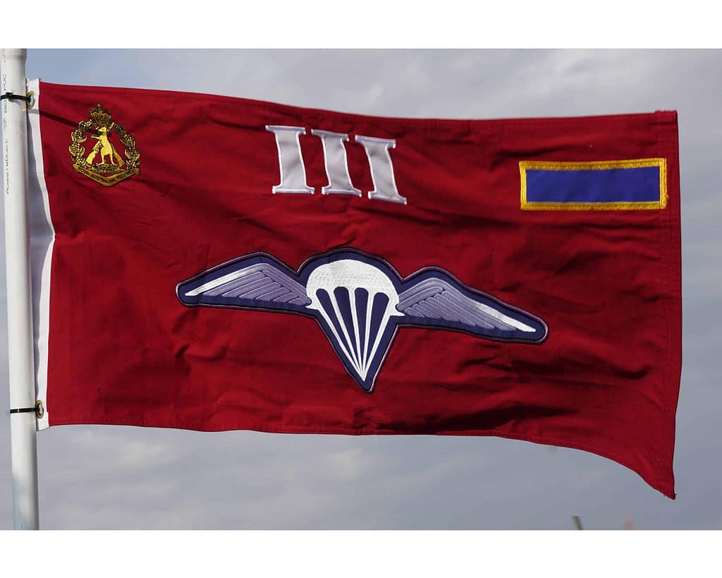 The Australian Paratrooper 3rd Battalion Royal Australia Regiment (3RAR ...